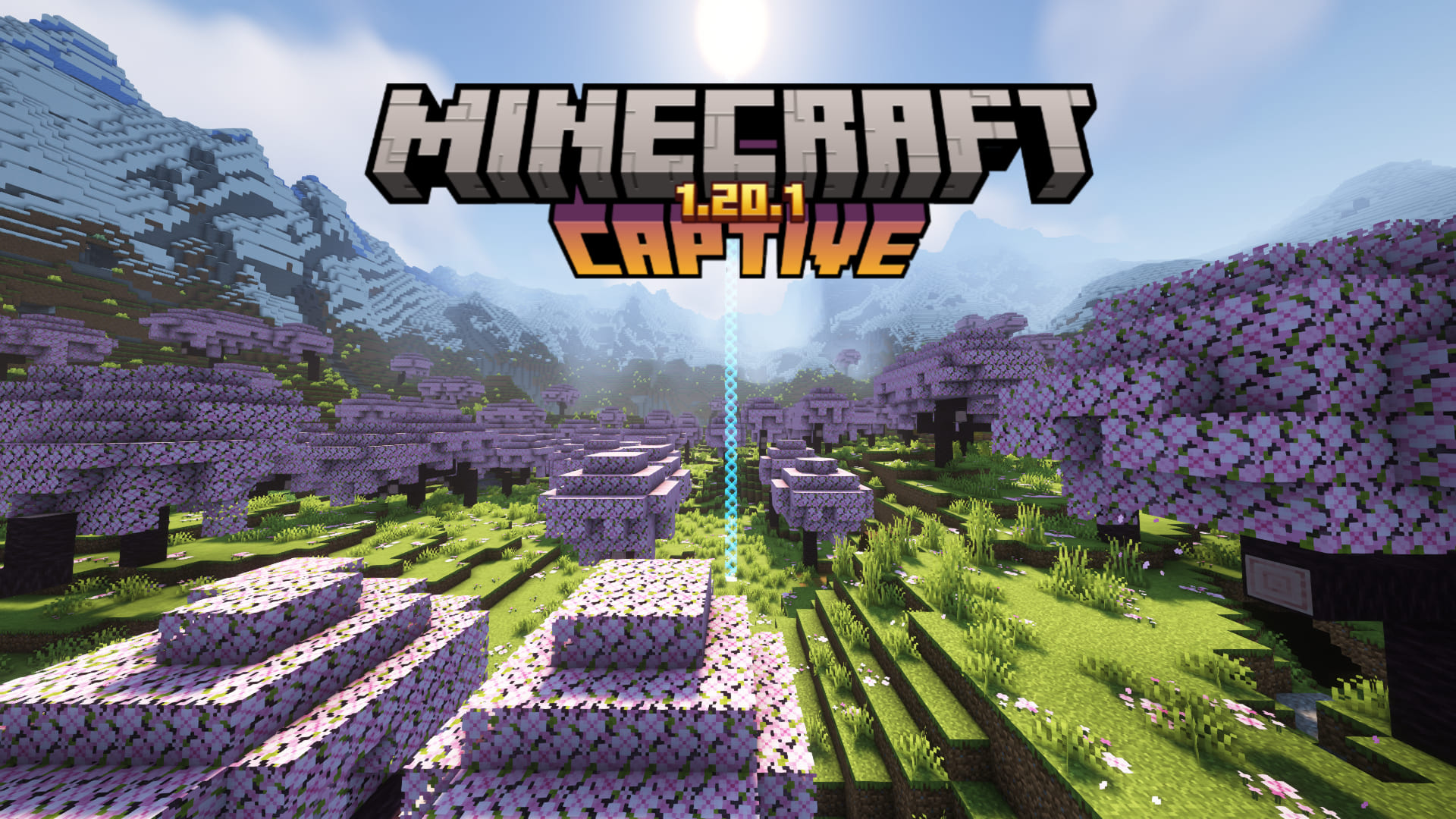 Captive Minecraft 