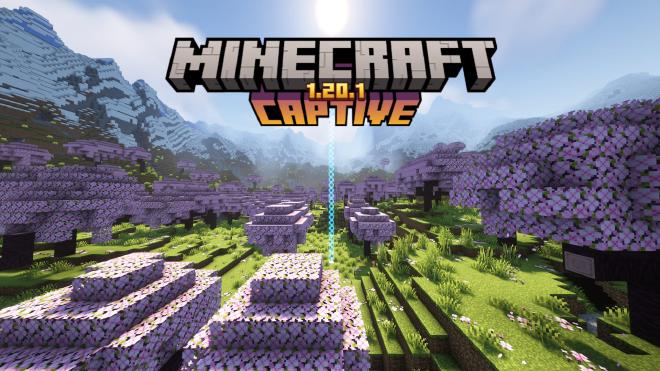 Captive Minecraft 